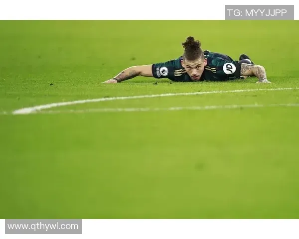 踢球者本期德甲前腰排名：格里马尔多、格纳布里