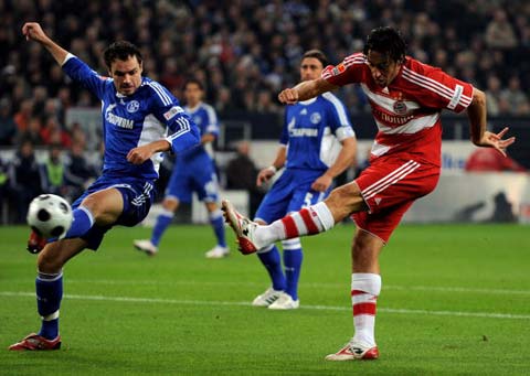 球队和球员 球队和球员