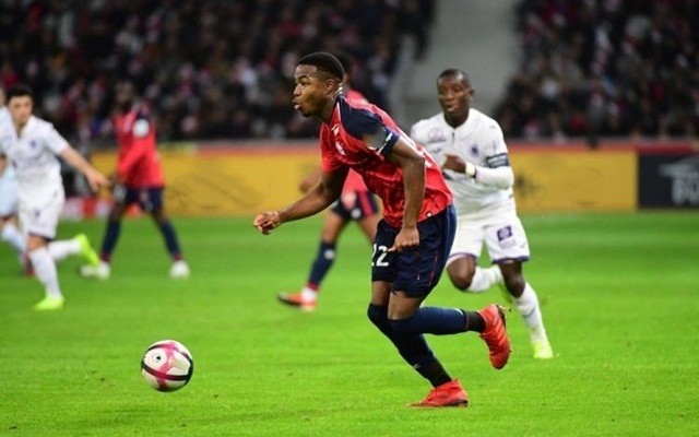 运动员的职 运动员的职